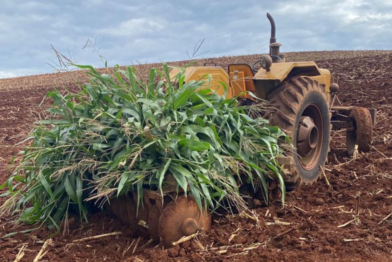 trator que matou idoso de 86 anos atropelado