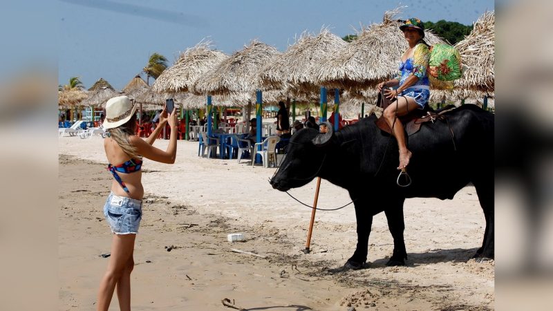 Ilha do Marajó Imagem de mulher em cima de búfalo em Ilha do Marajó