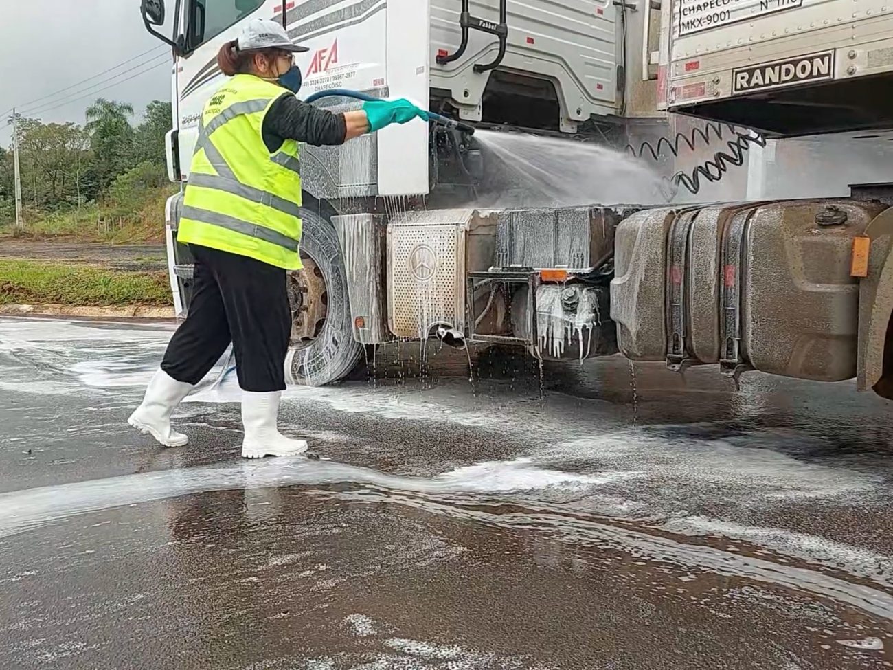 Mesmo sem casos de gripe aviária, SC reforça fiscalização e mantém liderança em sanidade animal