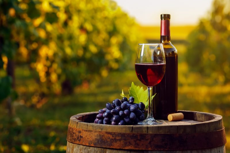Melhores vinhos brasileiros Vinho tinto em taça e uva em barril de madeira com vinhedo
