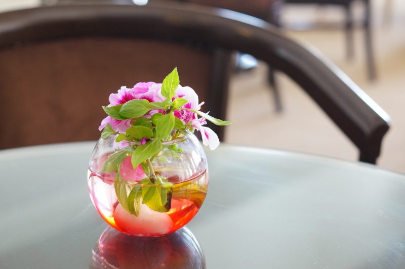 Flor em um vaso Flor em um vaso com água