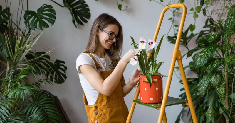 Mulher cuidando de plantas