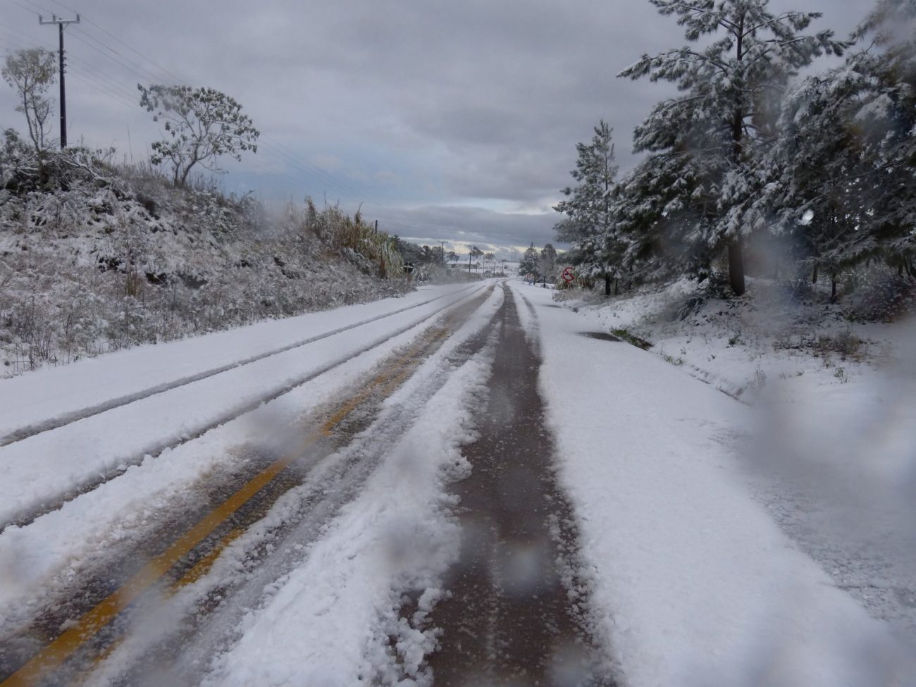 Estradas e vegetação ficaram cobertas por neve  - Divulgação/ND