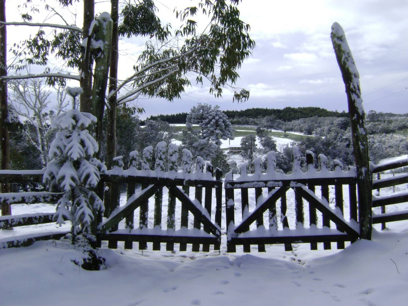 Ciclone extratropical impulsionou a neve no Planalto Norte em 2013 - Divulgação/ND