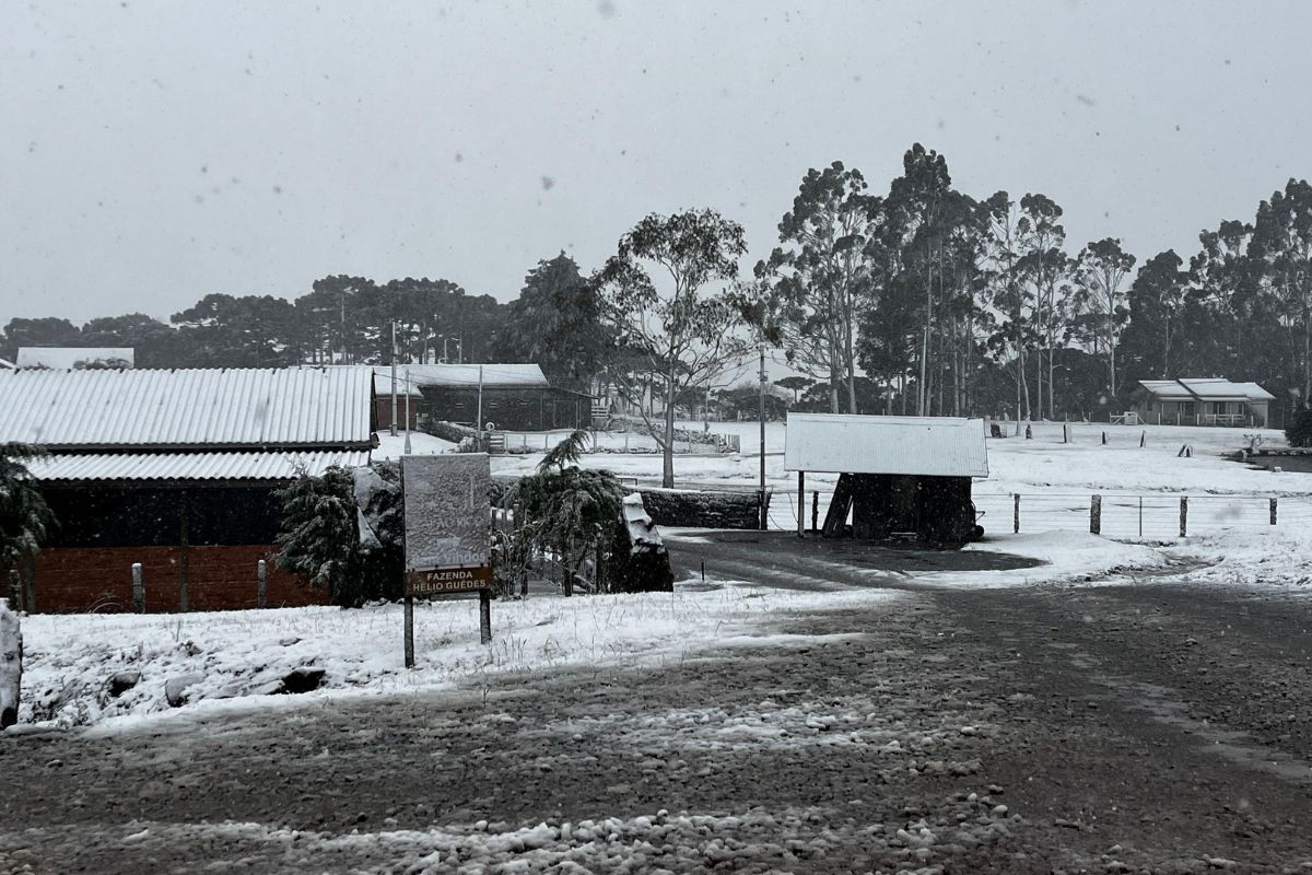 Morador de Bom Jardim da Serra n&atilde;o via tanta neve h&aacute; 20 anos – Foto: Tadeu Roberto de Souza/Acervo pessoal/ND
