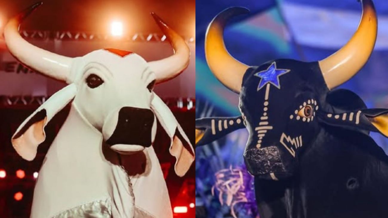 O Boi Garantido e o Boi Caprichoso do Festival de Parintins