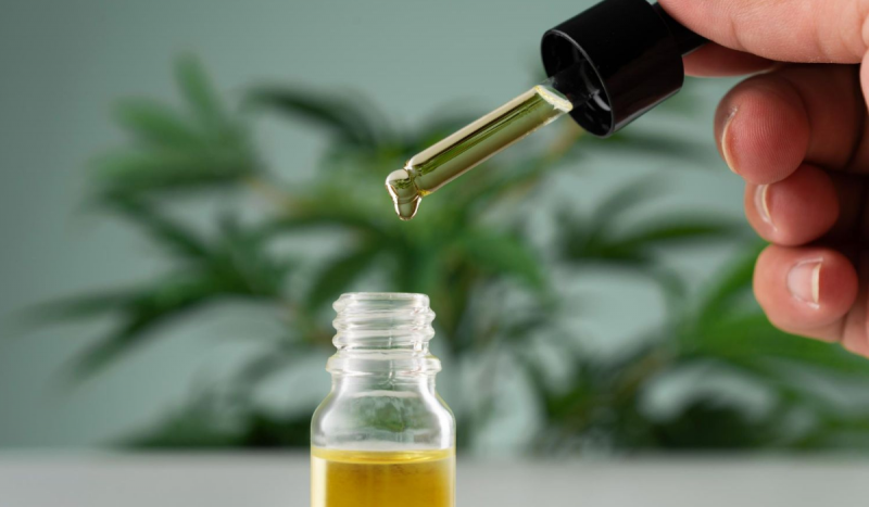 óleo Pessoa pingando óleo canábico, base de medicamentos à base de canabidiol