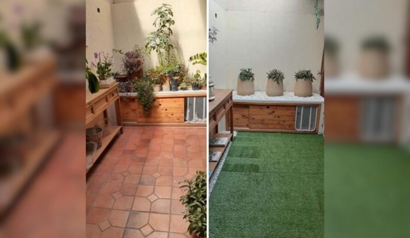 antes e depois de sala com e sem plantas