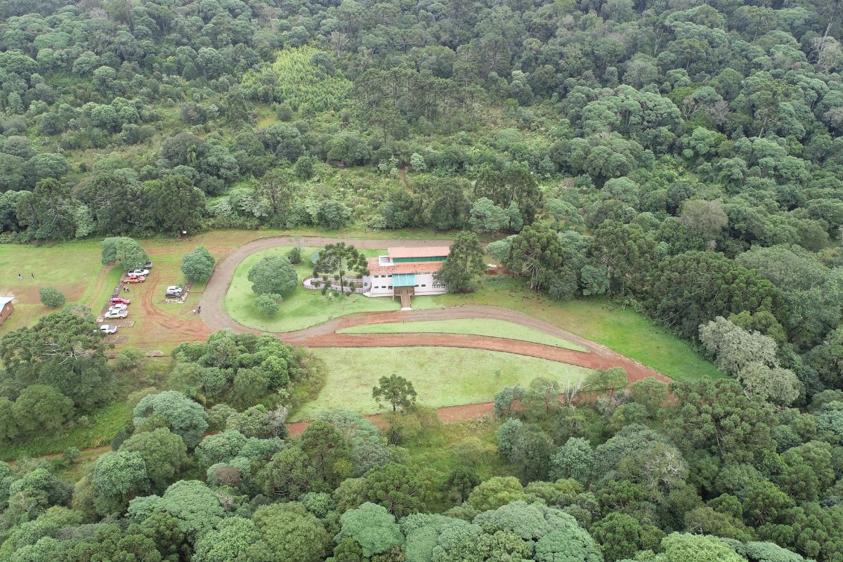 Parque das Araucárias completa 22 anos como refúgio de espécies ameaçadas em SC
