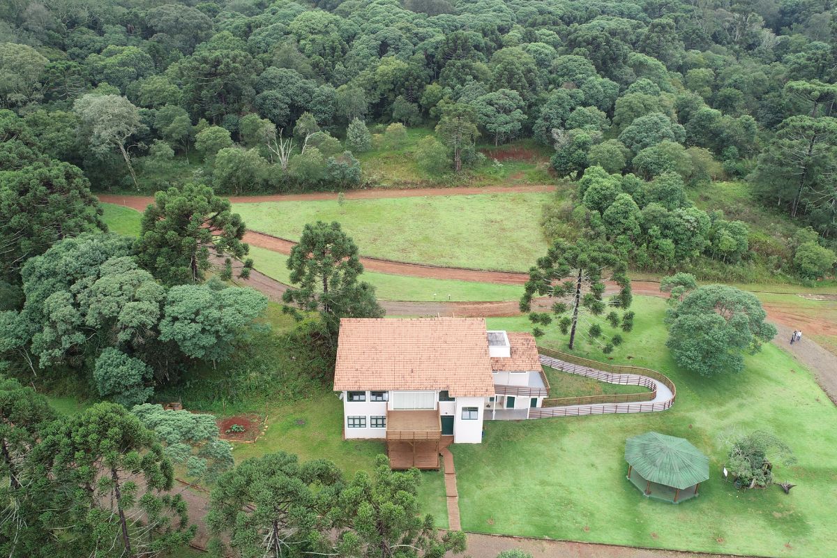 Unidade de conserva&ccedil;&atilde;o em Galv&atilde;o e S&atilde;o Domingos abriga arauc&aacute;rias e esp&eacute;cies raras. – Foto: Adrio Centeno/IMA/ND