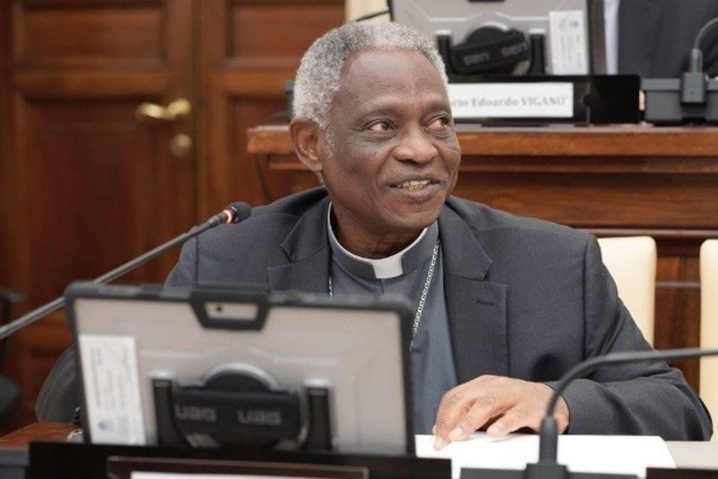 Cardeal de Gana, Peter Turkson Cardeal Peter Turkson é contra a criminalização das pessoas LGBTQIA+