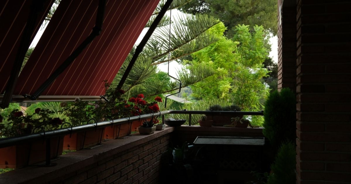 Imagem de uma varanda escura com muitas plantas, para ilustrar como o espaço fica mais claro e tranquilo com plantas ao seu redor como decoração 