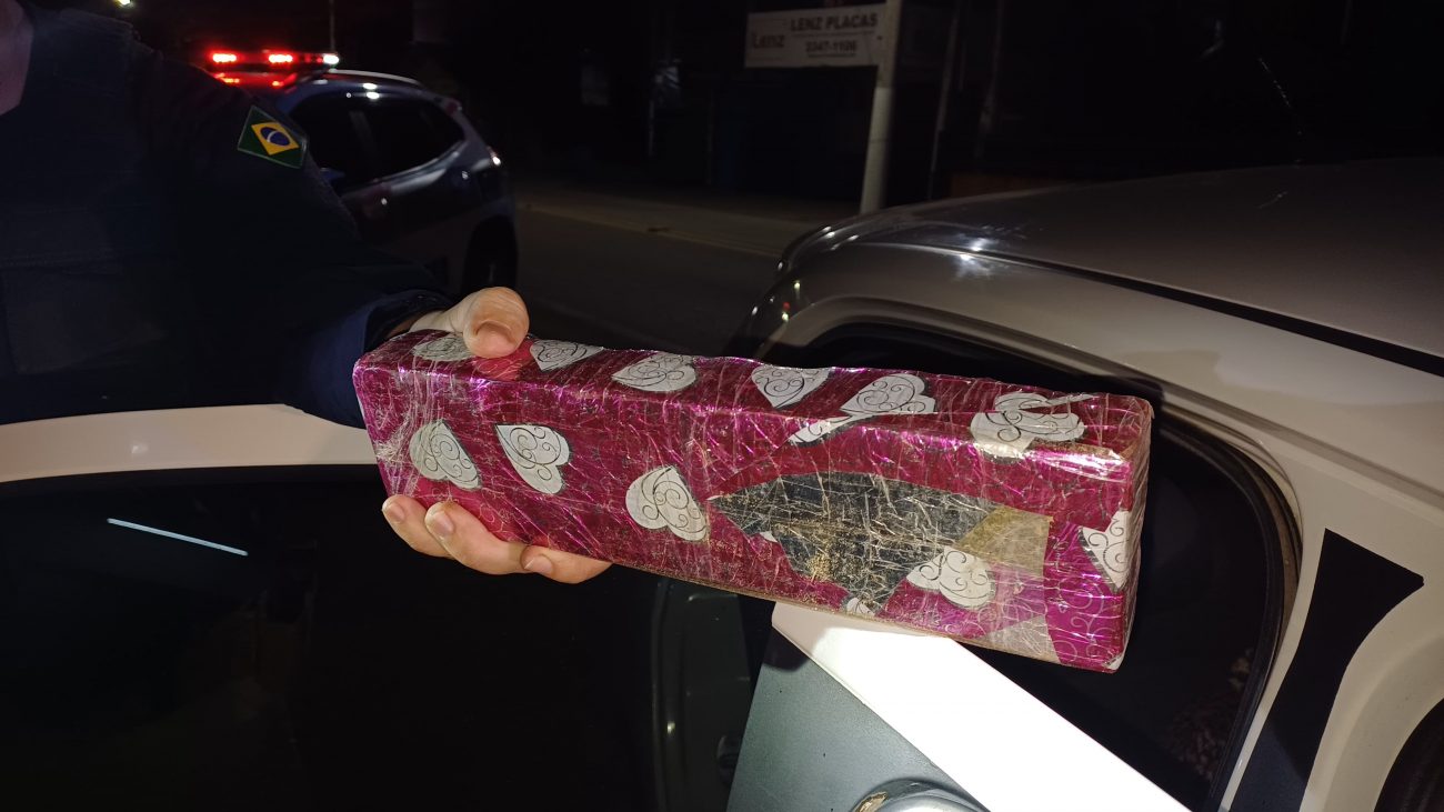 Perseguição na BR-101 termina com mordida de pitbull em SC