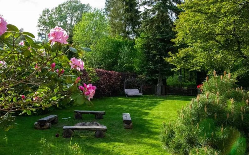 Jardim Quintal de uma casa