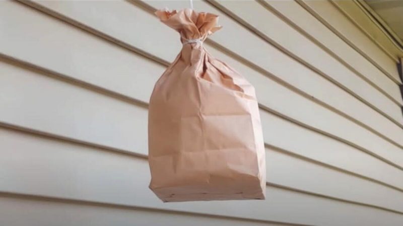 Saco de papel Saco de papel pendurado para afastar abelhas