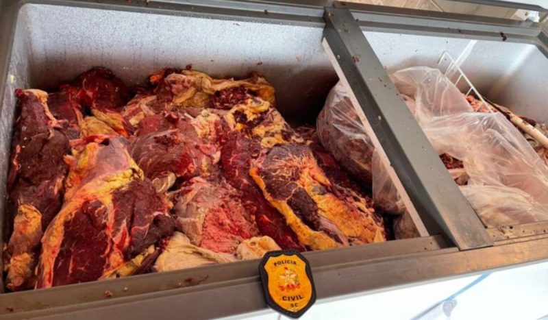 Vigilância Sanitária prestou apoio em ação contra suspeito de vender carne de gado roubado 