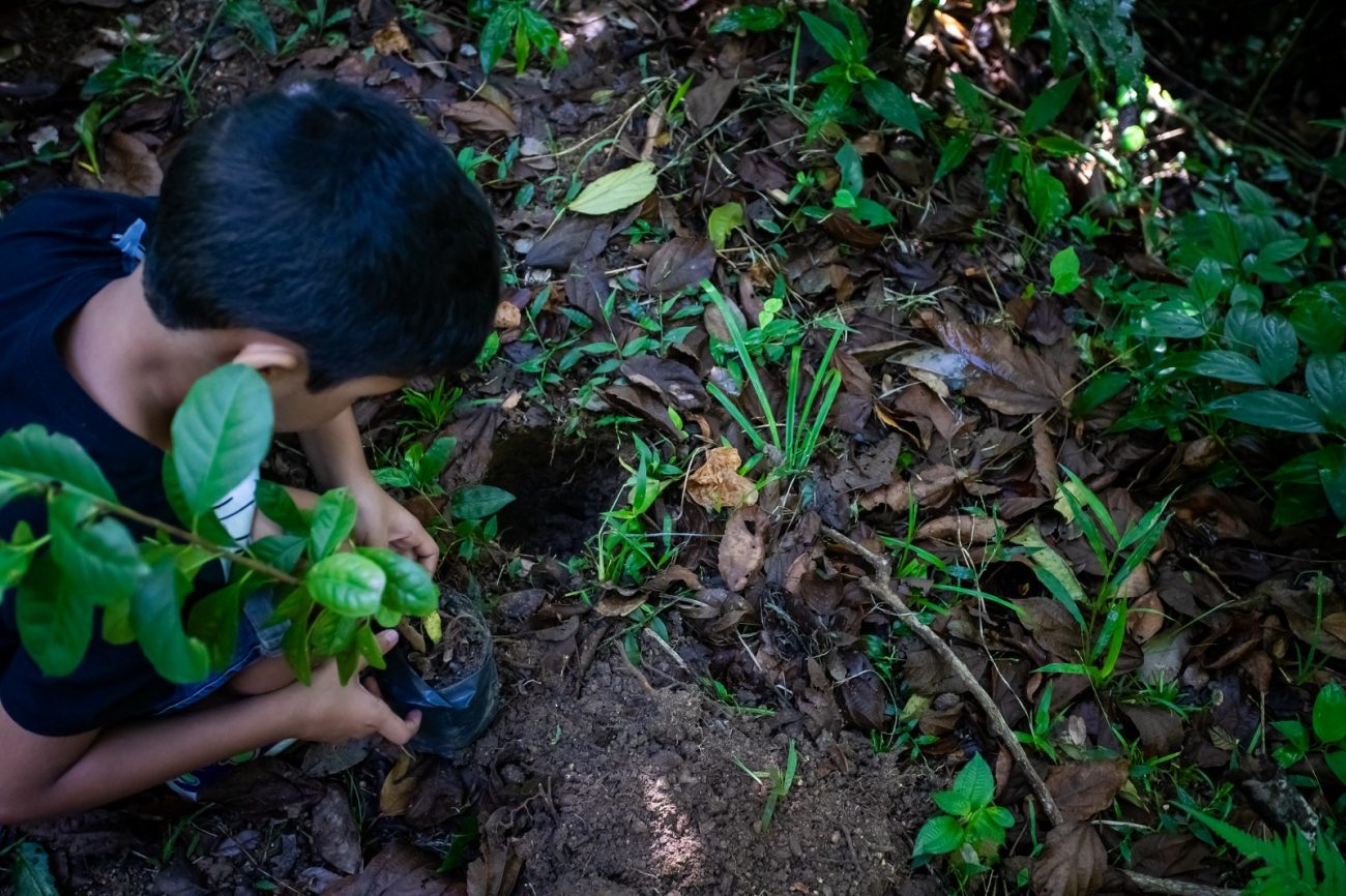 Na foto uma criança está plantando. Conteúdo sobre semana do meio ambiente.