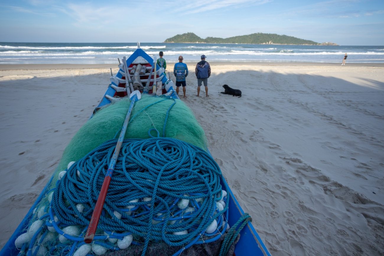 Safra da tainha em Florianópolis tem início abaixo do esperado em 2025 e pescadores aguardam peixes surgirem no mar - Foto: Germano Rorato/ND Safra da tainha em Florianópolis tem início abaixo do esperado em 2025 e pescadores aguardam peixes surgirem no mar - Foto: Germano Rorato/ND
