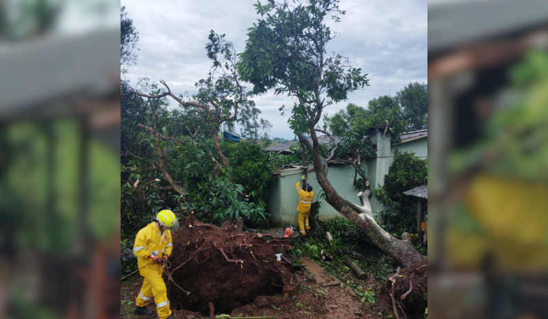Temporal no Oeste deixa rastro de destruição e provocam duas mortes no oeste de Santa Catarina Temporal no Oeste deixa rastro de destruição e provocam duas mortes no oeste de Santa Catarina