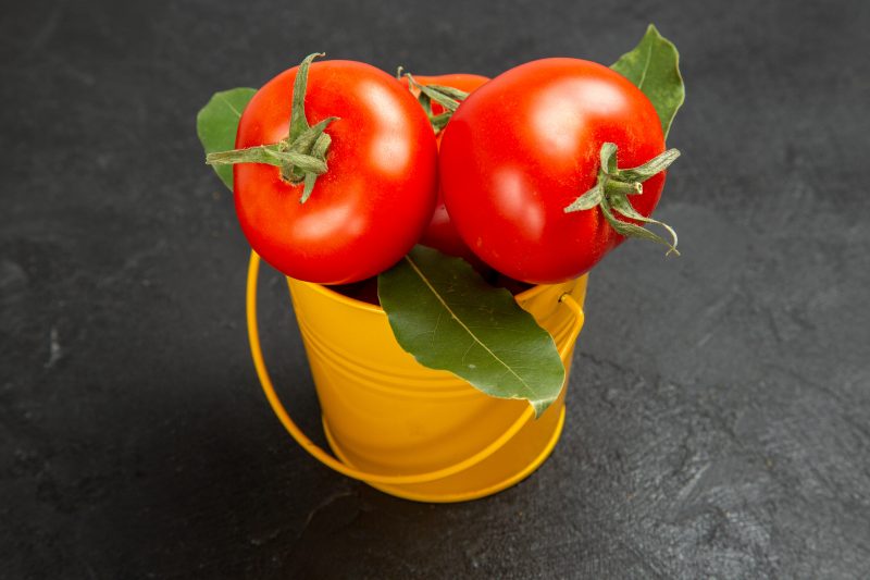 Tomates Tomates em um balde amarelo