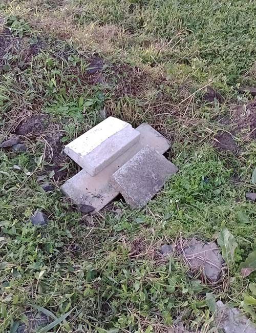 Cães estavam presos dentro de bueiro  - Divulgação/ND