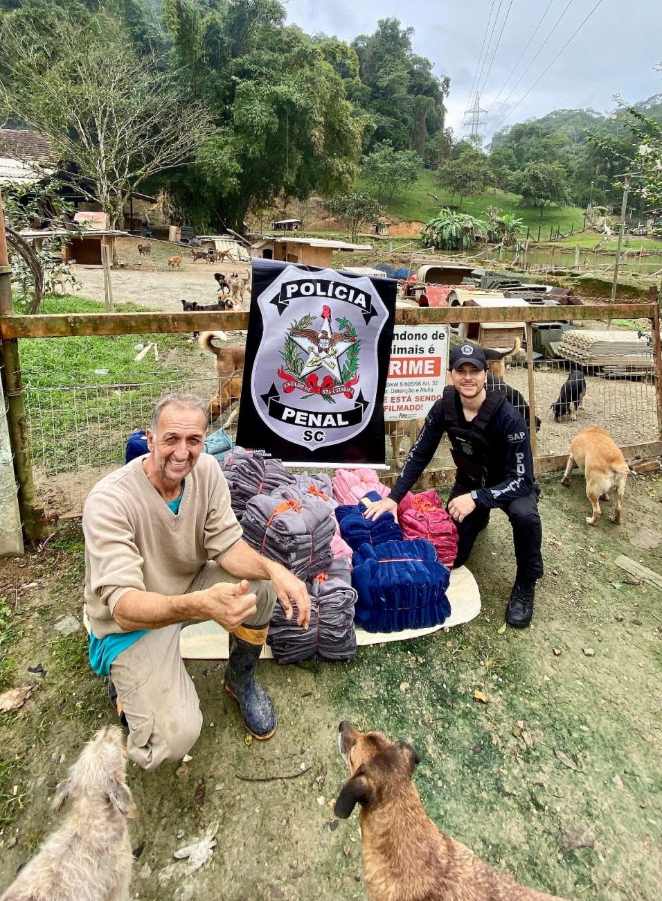 Proteger animais do frio 