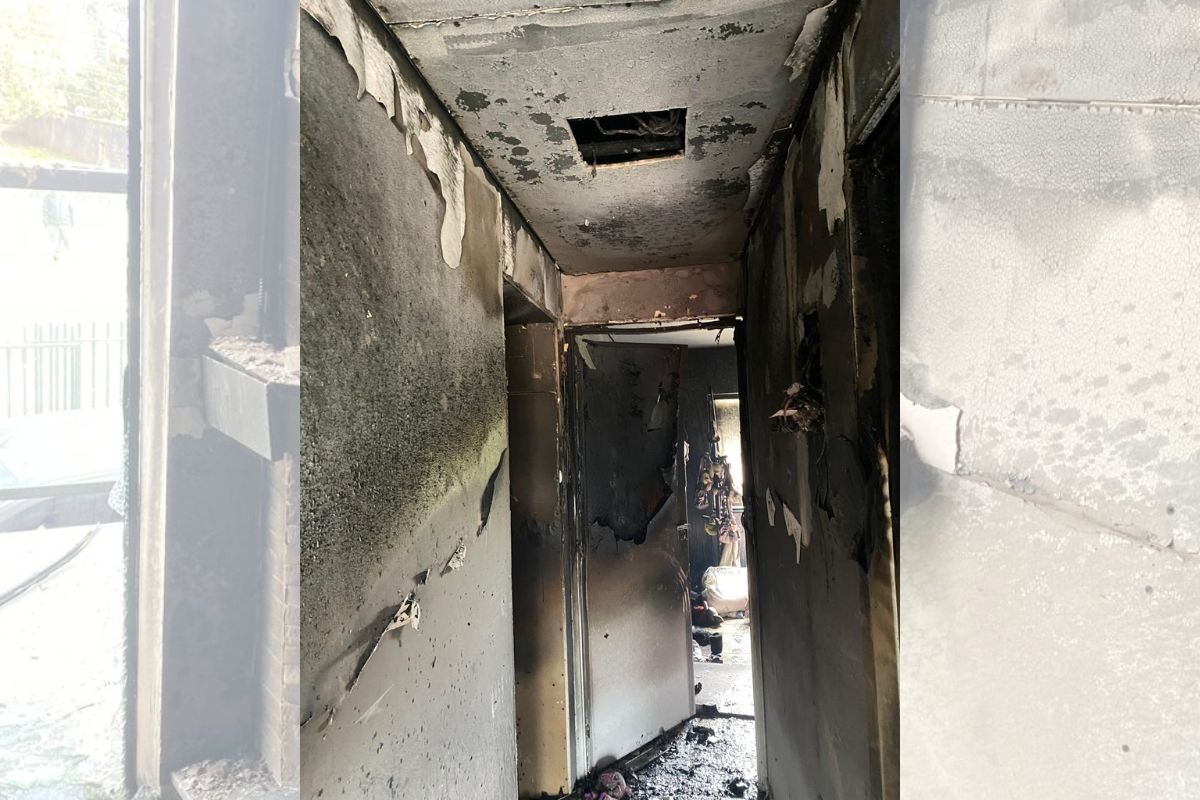 Criança salva coelho de estimação de incêncio em Canoinhas - Divulgação/CBMSC/ND