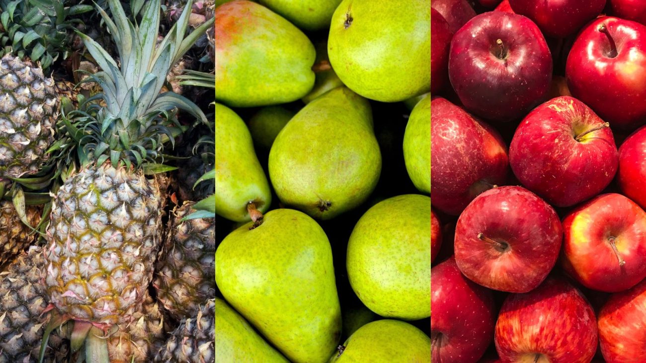 Imagem com três tipos de alimentos comumente confundidos com frutas verdadeiras: à esquerda, abacaxis (pseudofruto formado por múltiplas flores), ao centro, peras, e à direita, maçãs (também consideradas pseudofrutos). A imagem ilustra exemplos clássicos da diferença entre fruto e pseudofruto.