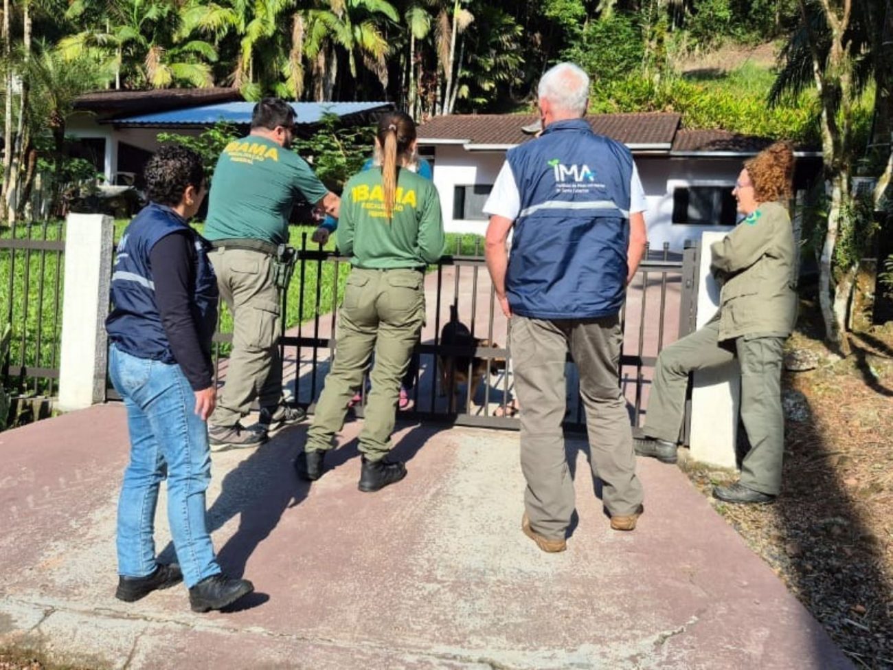 Apreensão de animais ilegais inclui crânio de chimpanzé e multa milionária em SC