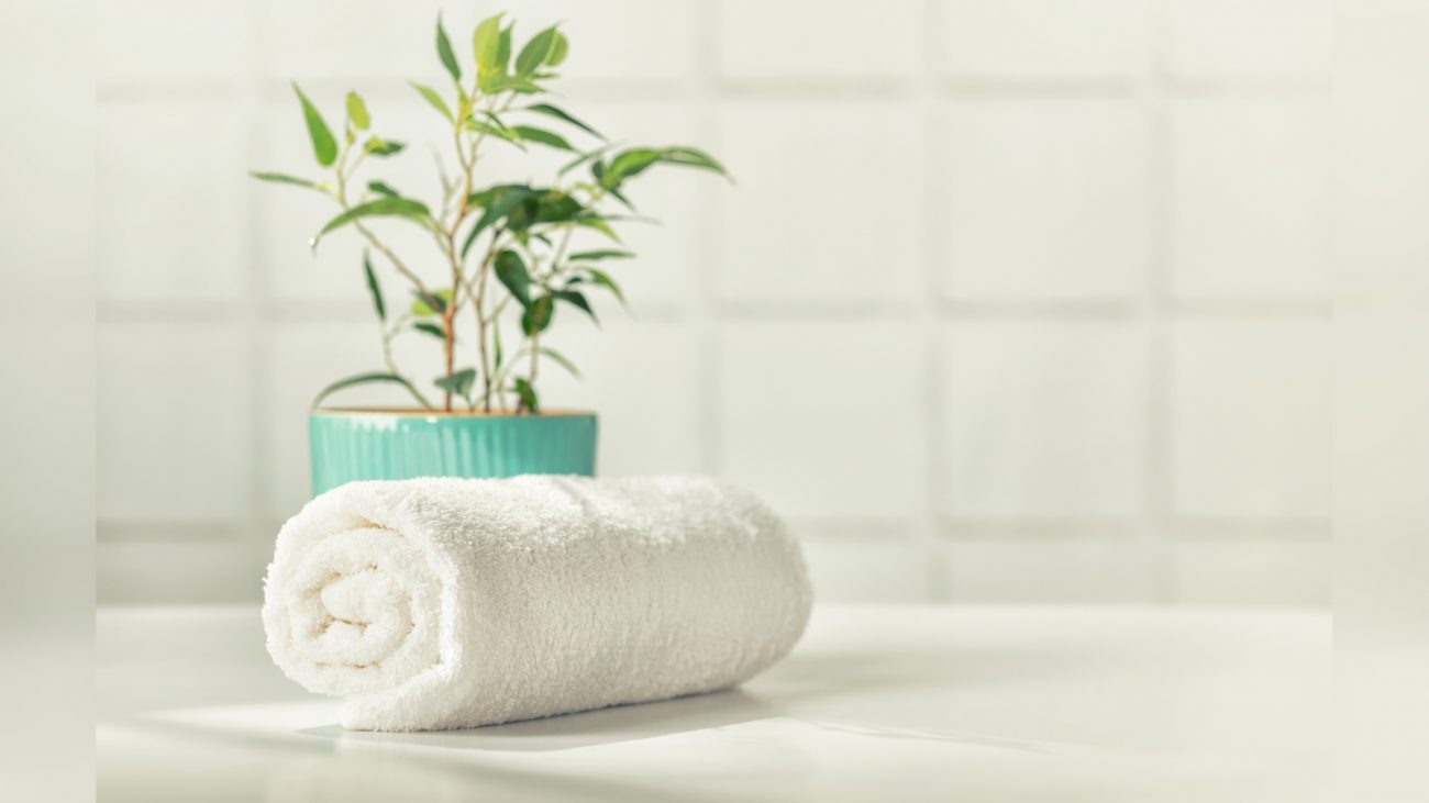 Imagem de um pano branco com um jarro de planta por trás