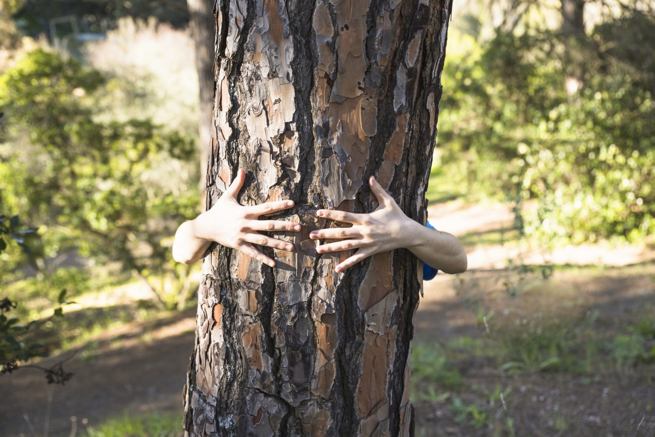 Pessoa abraçando uma árvore no meio de uma floresta
