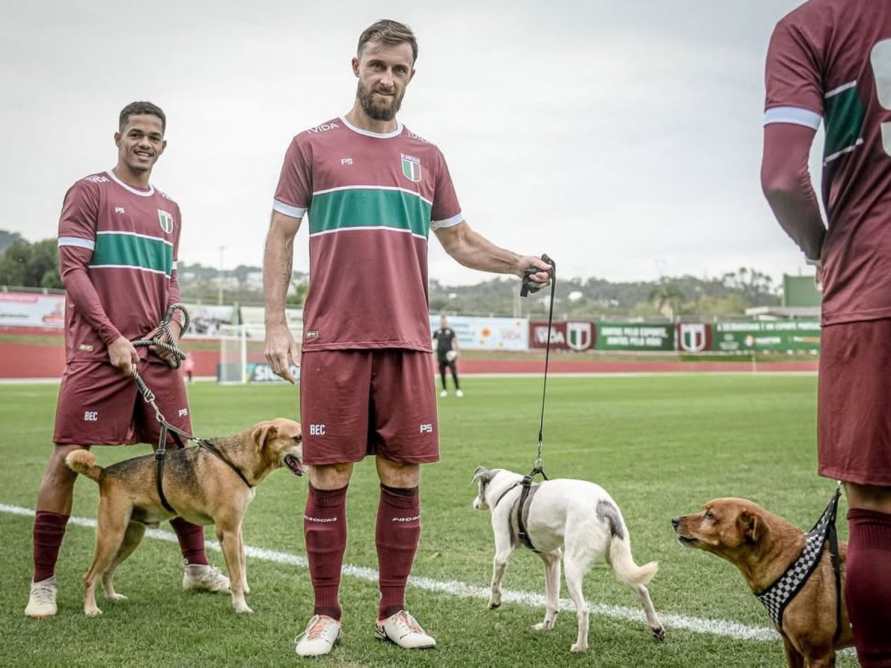 Jogadores do BEC entraram com cachorros do Cepread - @blumenausaf/@vidanoabrigo/Instagram