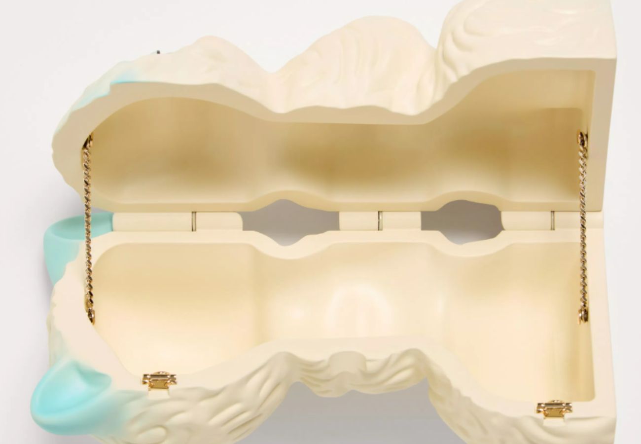 Como a bolsa de gato é por dentro 