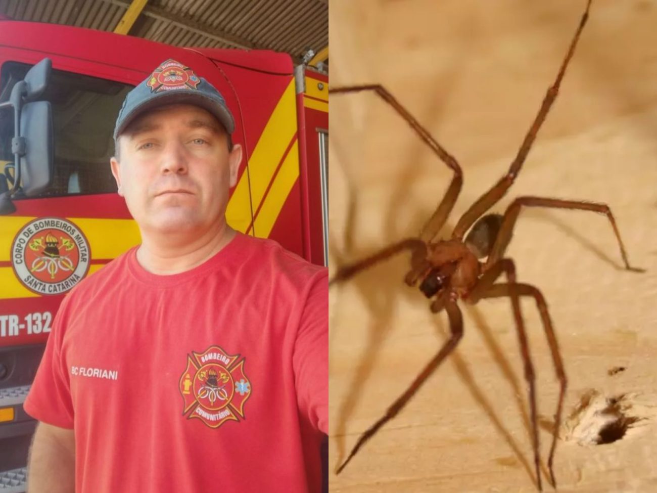 Bombeiro de Itapema, João Paulo Floriani morre após infecção generalizada causada por picada de aranha