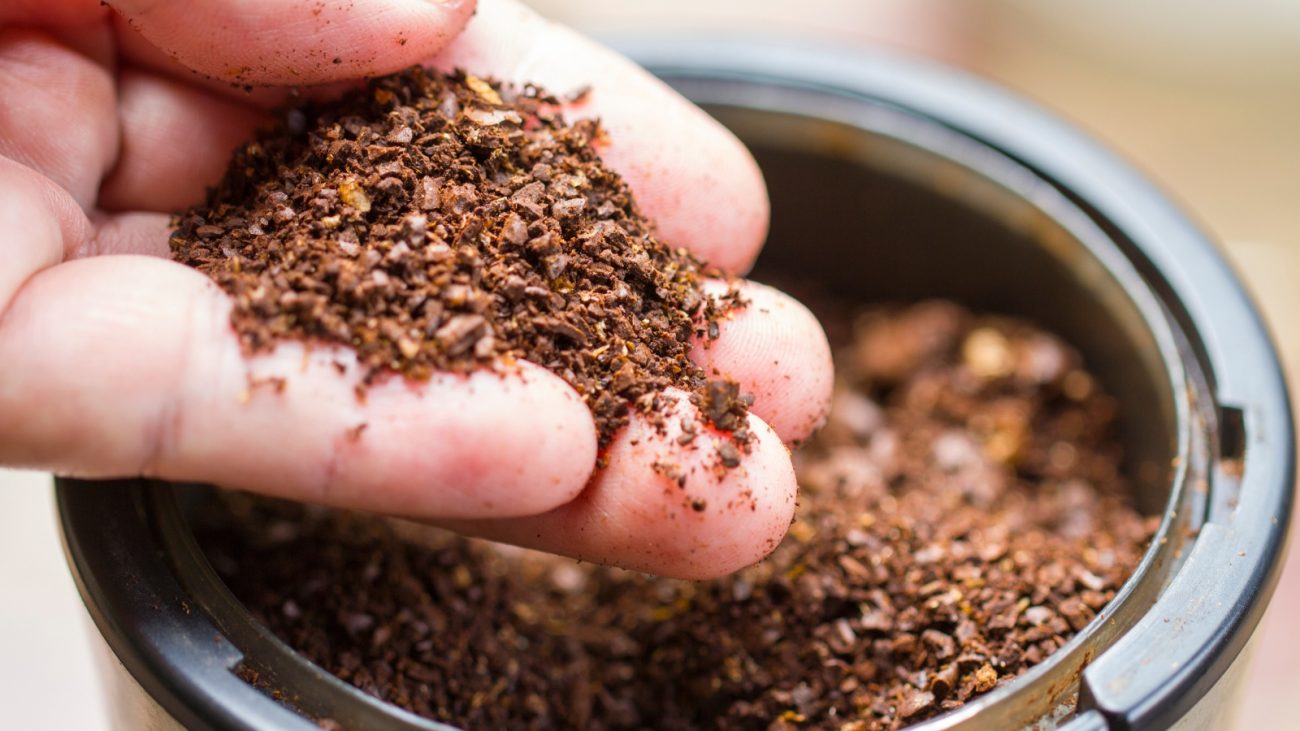 Mão segurando uma porção de borra de café úmida, com mais borra visível dentro de um recipiente preto ao fundo. A imagem mostra de perto a textura granulada e marrom do resíduo do café coado
