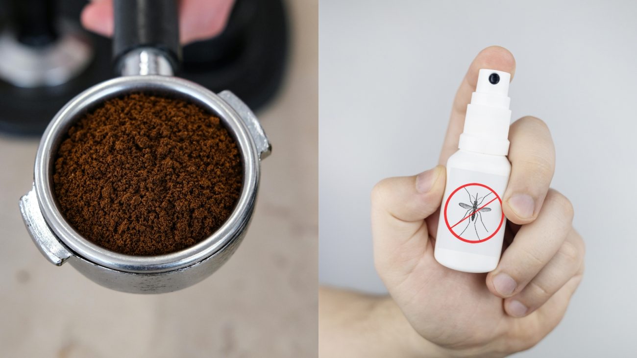 Montagem com duas imagens lado a lado: à esquerda, close em um porta-filtro de máquina de café contendo pó de café moído; à direita, uma mão segurando um frasco de spray branco com um símbolo de mosquito riscado, indicando repelente contra insetos