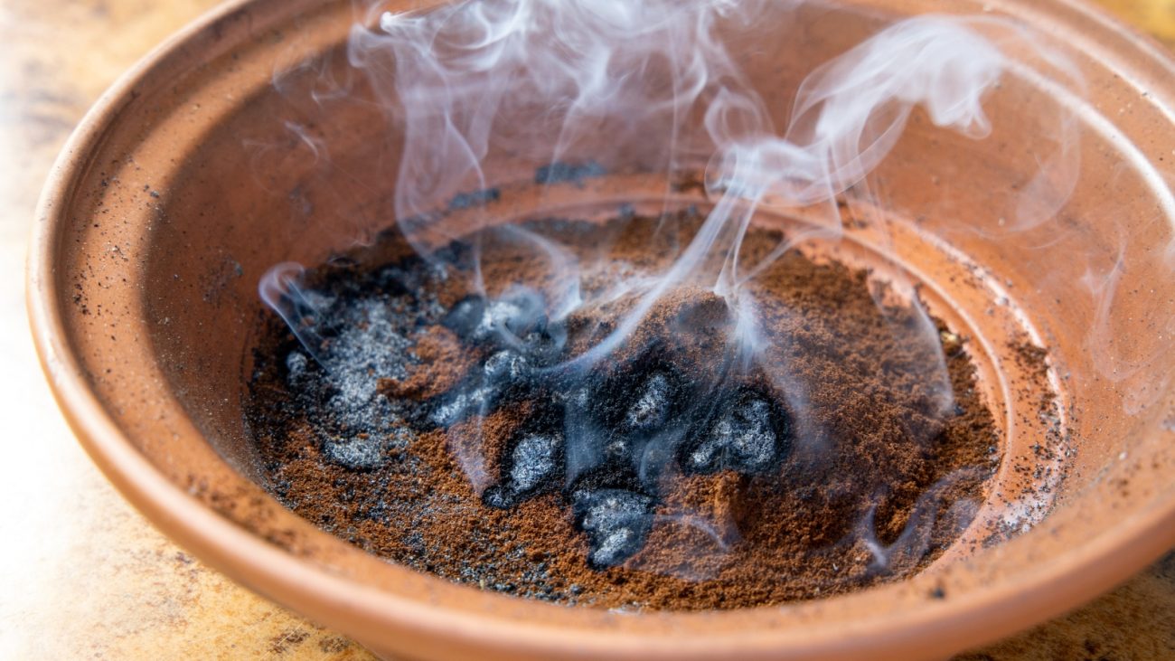 Para um efeito mais intenso, coloque a borra seca sobre uma superfície resistente ao calor e queime como se fosse incenso.

A fumaça liberada contém compostos naturais que interferem nos sensores dos mosquitos, dificultando que eles detectem a presença humana. - Canva/ND