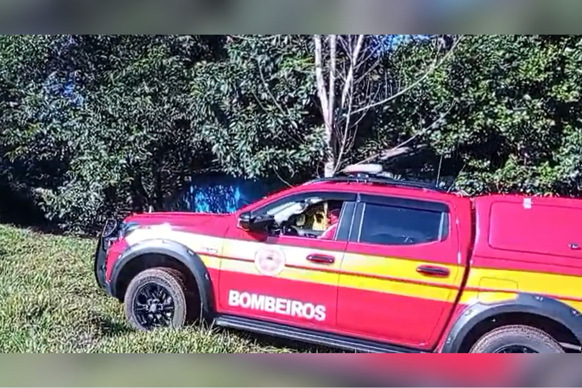 As buscas pela mulher desaparecida foram retomadas na manhã desta quarta-feira (11) -