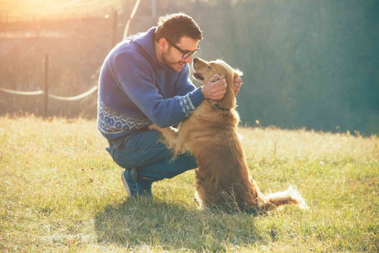 Afeto canino se constrói na confiança com o tutor- Foto: Reprodução/ND