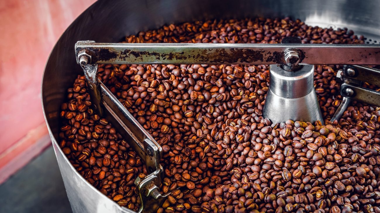 Processo de torra de grãos de café em uma máquina profissional, mostrando os grãos de café torrados em uma máquina industrial de torra de café torrefacto