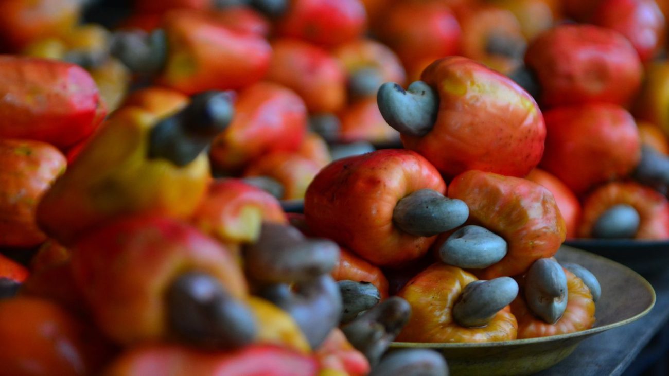 Caju é um pseudofruto.  - Pixabay/ND