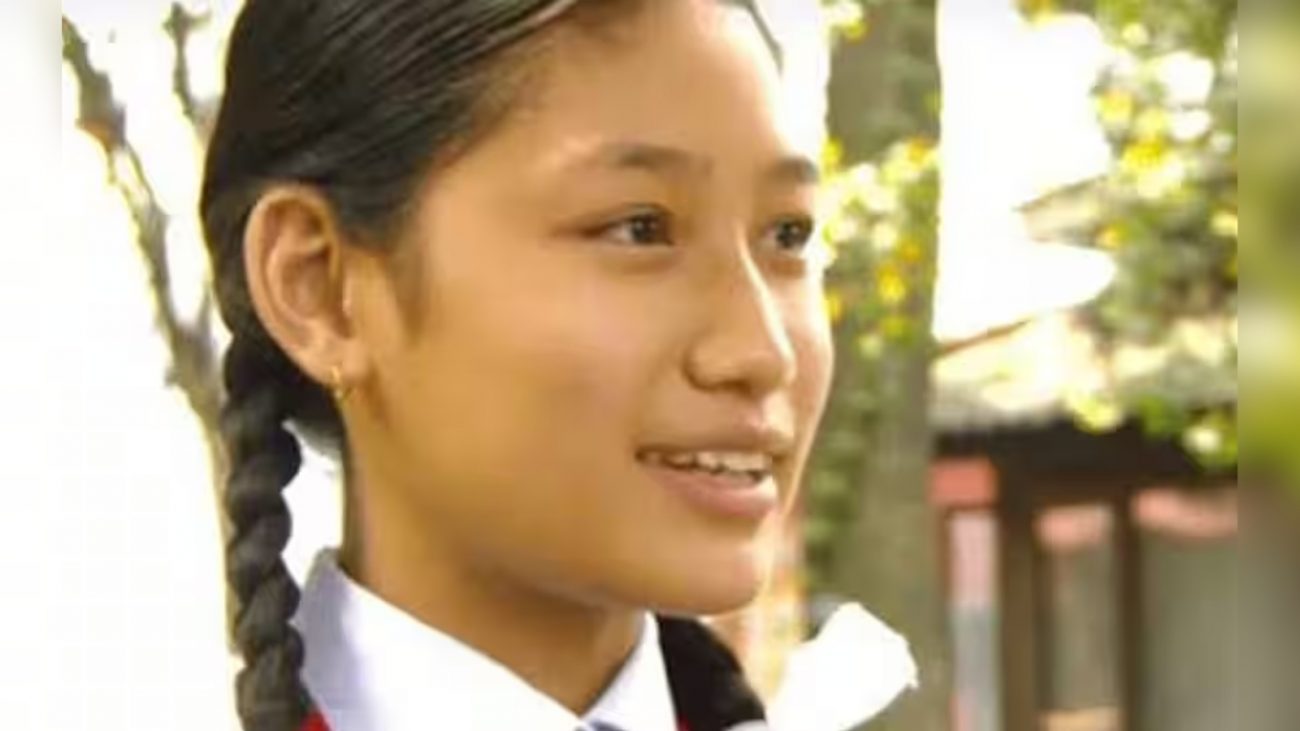 Menina com tranças ao lado da cabeça sorridente 