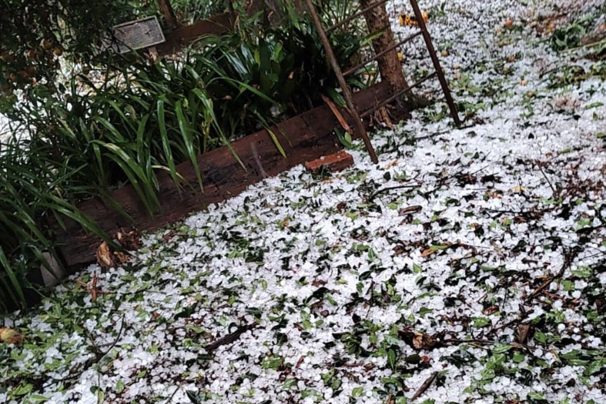 Chuva de granizo surpreende moradores em tr&ecirc;s munic&iacute;pios do Oeste de SC – Foto: Divulga&ccedil;&atilde;o/Internet/ND