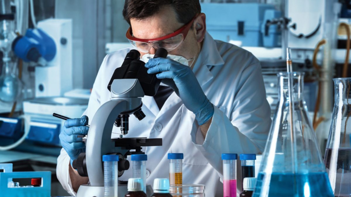 Após caso em SC, entenda como a ciência consegue revelar paternidade de órfão mesmo após a morte do pai - QTU Questões do Universo