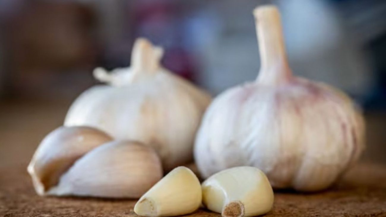 na foto aparecem dentes de alho com o estômago vazio que é bom para o sistema imunológico