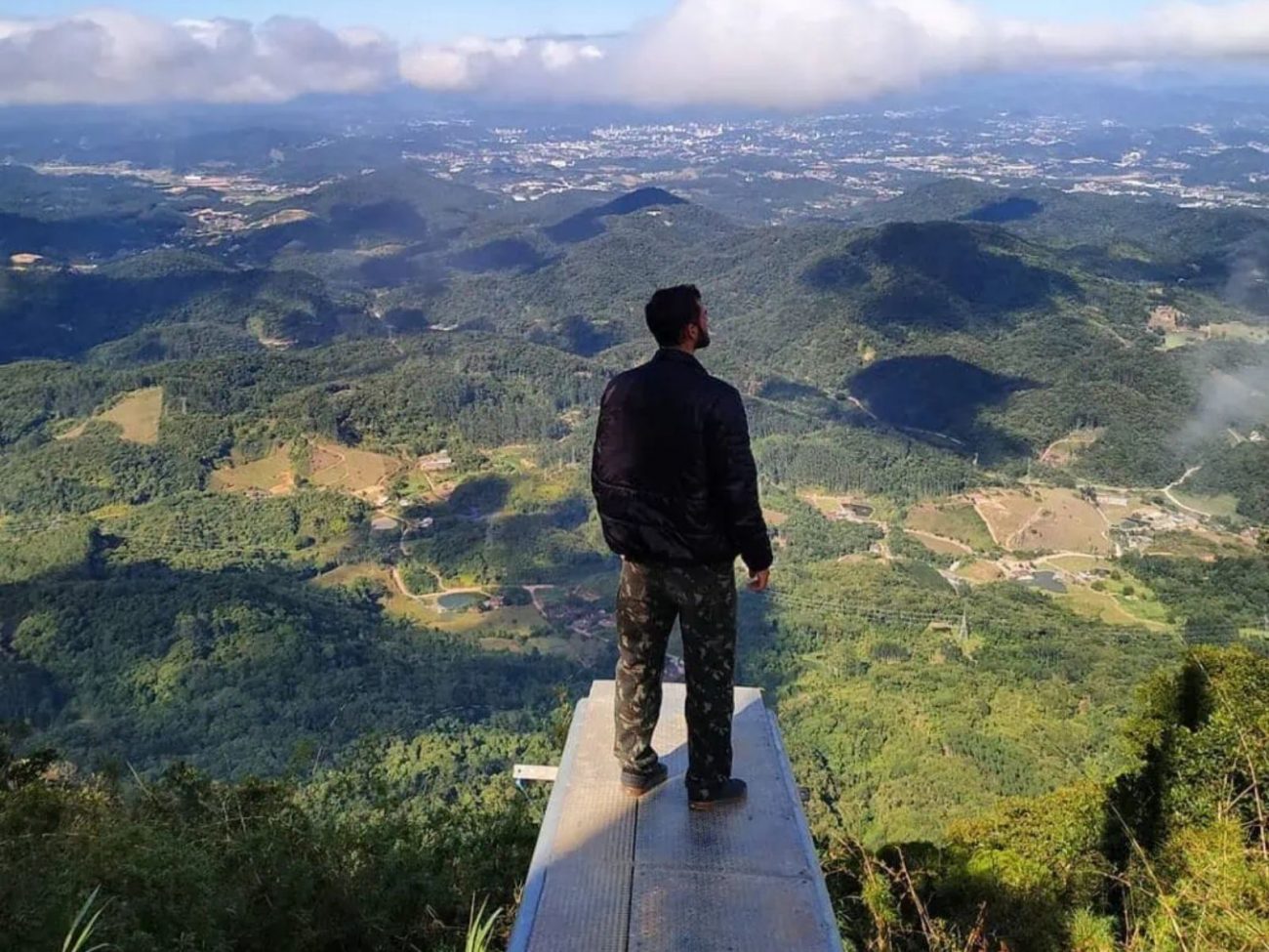 Sapinho em extinção prestes a se tornar o novo símbolo de Blumenau é encontrado apenas no Morro do Cachorro