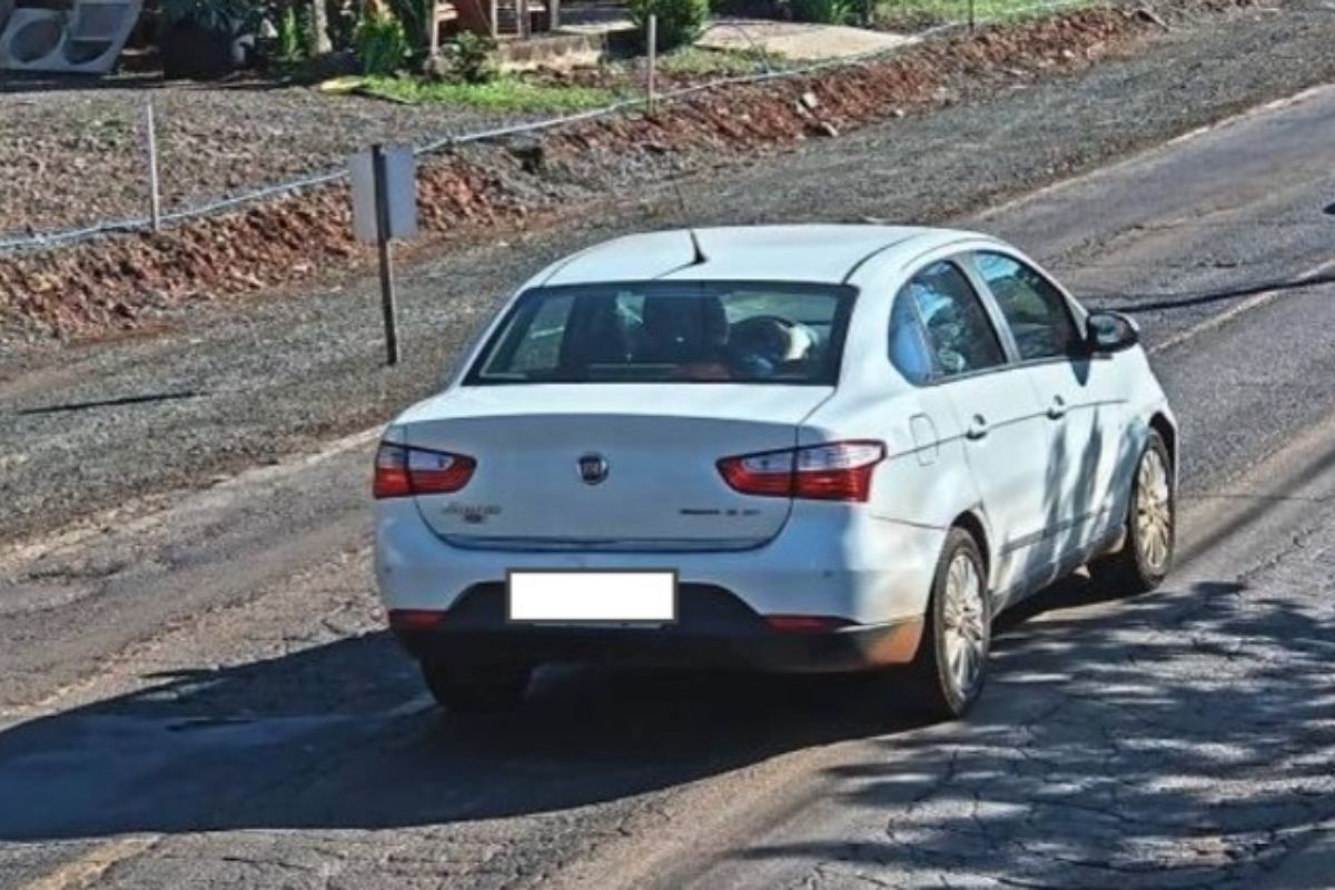 Criança desaparecida é achada 6h depois a 40 km de casa sozinha em SC