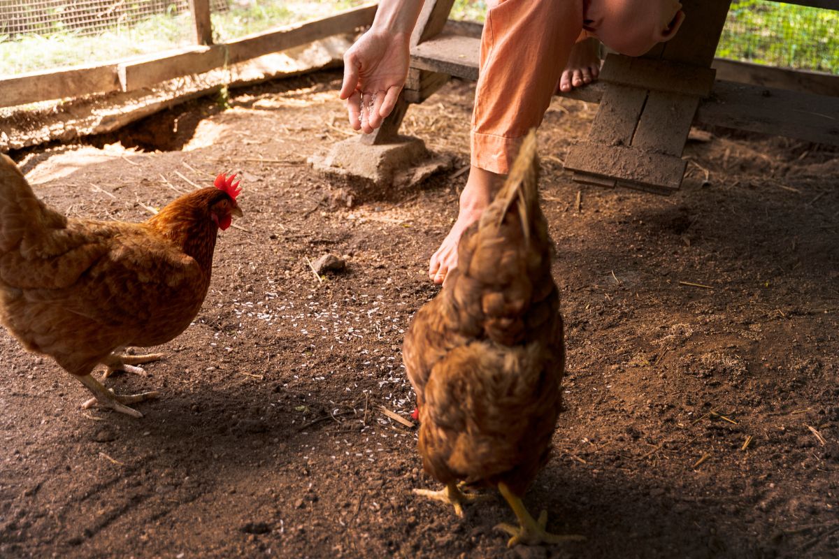 Atualizar seu cadastro agropecuário junto à Cidasc