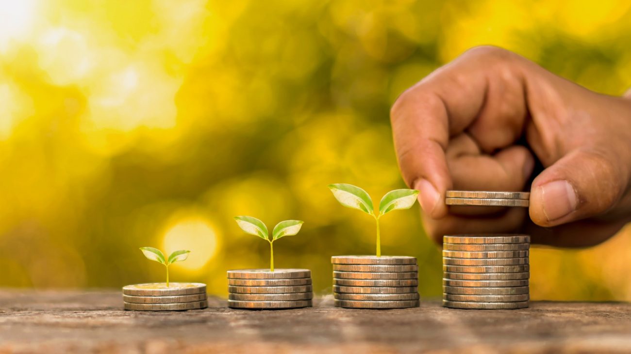 Imagem representando crescimento financeiro sustentável, com pequenas plantas surgindo de pilhas de moedas, simbolizando investimento e economia consciente.