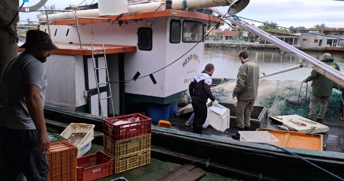 Imagem de um barco, para mostrar para os leitores qual era a embarcação que estava ilegal
